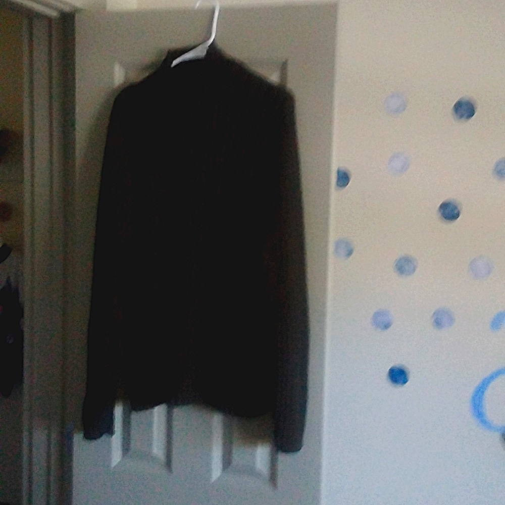 Express Chunky High Neck Ribbed Sweater. Excellent quality.